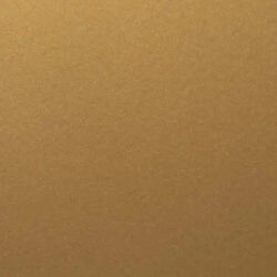 Anodic Gold - Stahl Lofttür - Akzent Lofttüren